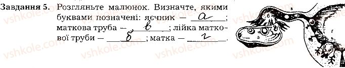 фото задание ст133завд5 - тема 11. розмноження та розвиток людини