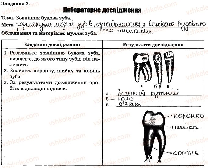 фото задание ст23завд2 - тема 2. травлення