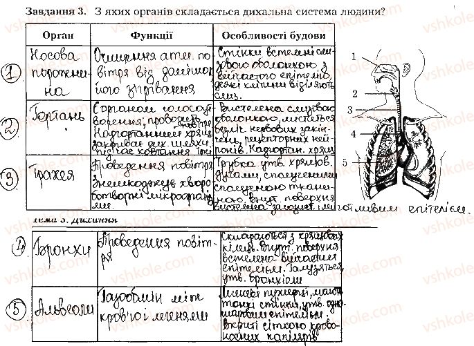 фото задание ст31завд3 - тема 3. дихання