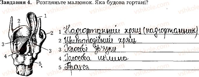 фото задание ст32завд4 - тема 3. дихання