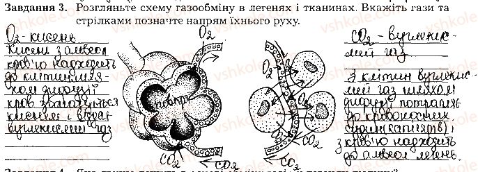 фото задание ст33завд3 - тема 3. дихання