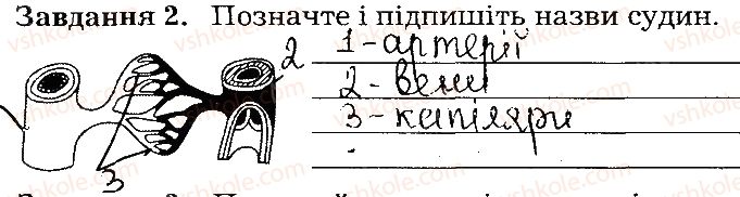 фото задание ст48завд2 - тема 4. транспорт речовин