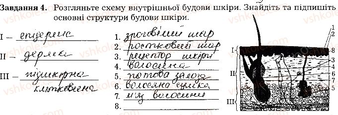 фото задание ст55завд4 - тема 5. виділення. терморегуляція