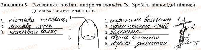 фото задание ст55завд5 - тема 5. виділення. терморегуляція