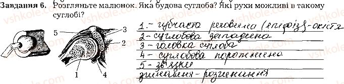 фото задание ст64завд6 - тема 6. опора та рух