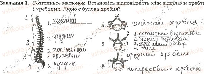 фото задание ст65завд3 - тема 6. опора та рух
