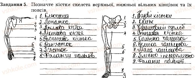фото задание ст66завд5 - тема 6. опора та рух