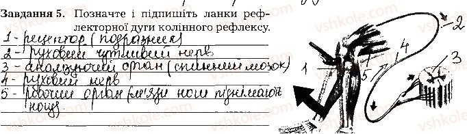фото задание ст75завд5 - тема 7. нервова система