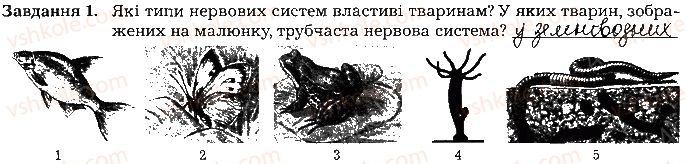 фото задание ст76завд1 - тема 7. нервова система