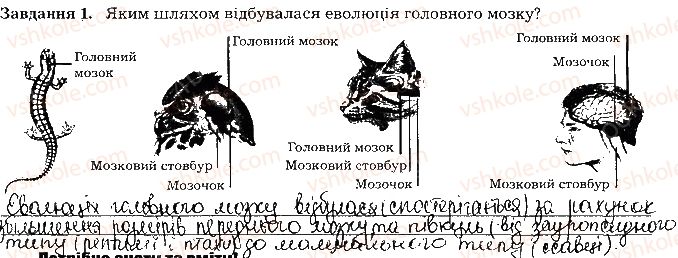 фото задание ст78завд1 - тема 7. нервова система