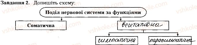 фото задание ст81завд2 - тема 7. нервова система