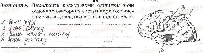 фото задание ст86завд4 - тема 8. сенсорні системи