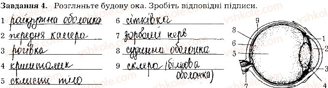фото задание ст87завд4 - тема 8. сенсорні системи