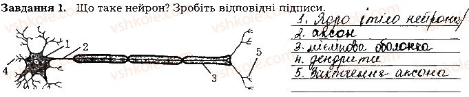 фото задание ст90завд1 - тема 8. сенсорні системи