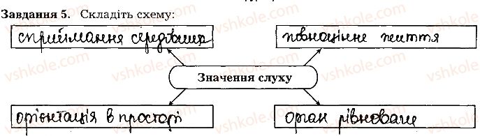 фото задание ст93завд5 - тема 8. сенсорні системи
