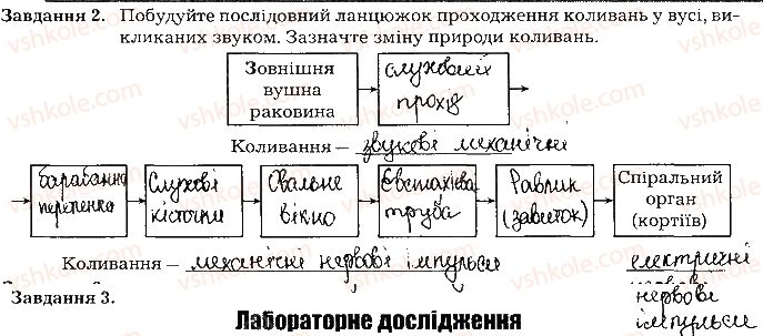 фото задание ст95завд2 - тема 8. сенсорні системи