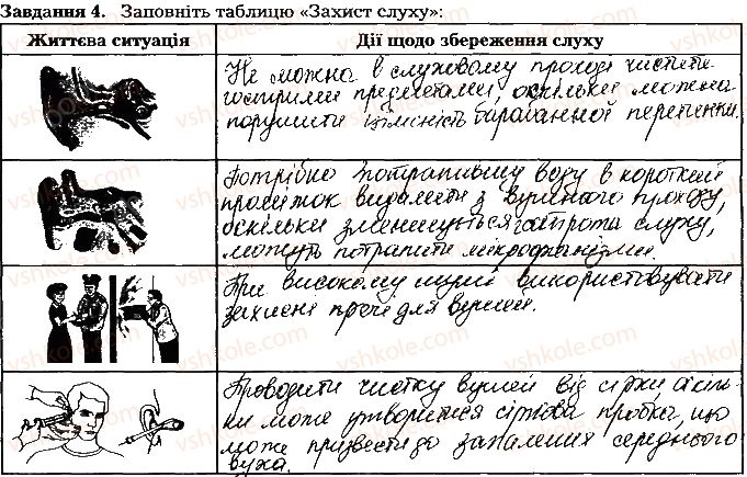 фото задание ст96завд4 - тема 8. сенсорні системи