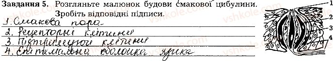 фото задание ст97завд5 - тема 8. сенсорні системи