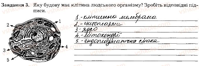 фото задание ст6завд3 - вступ