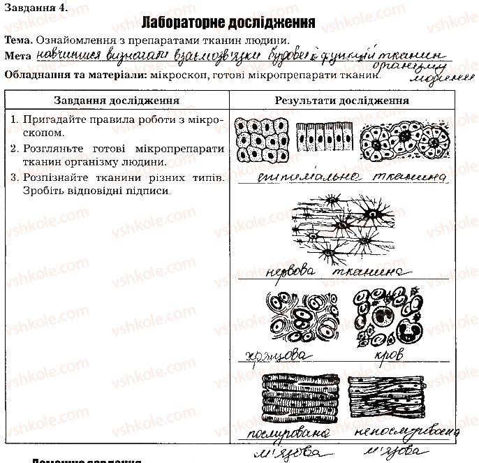 фото задание ст7завд4 - вступ