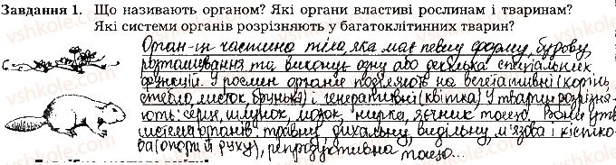 фото задание ст8завд1 - вступ