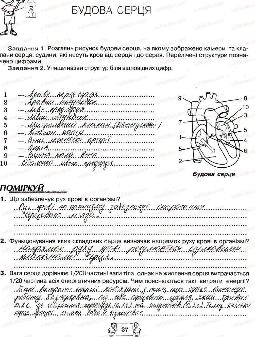 фото задание 37 - сторінки 21-39