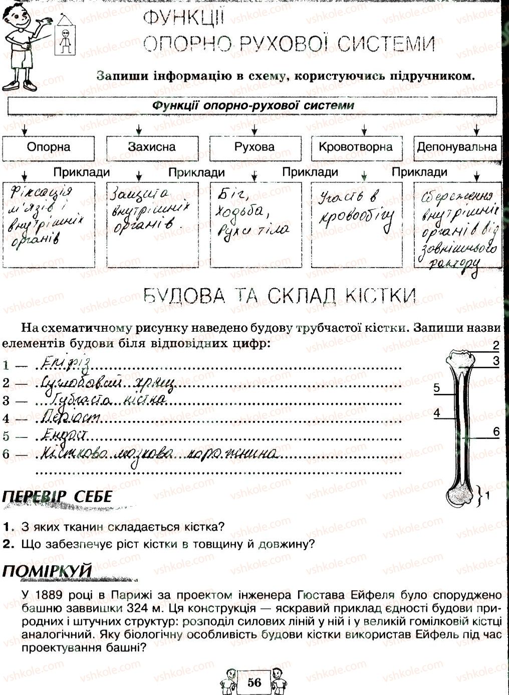 фото задание 56 - сторінки 41-59