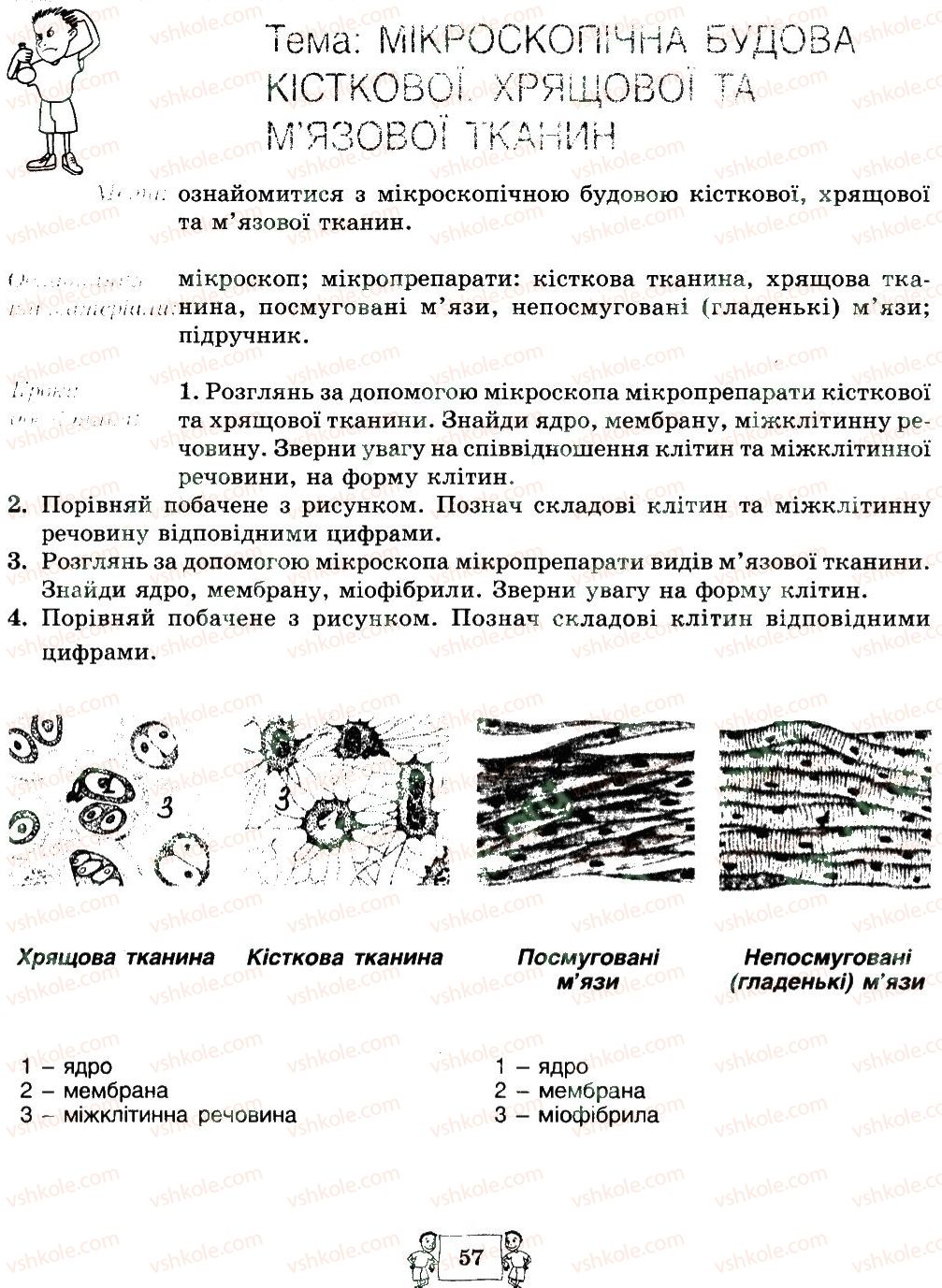 фото задание 57 - сторінки 41-59