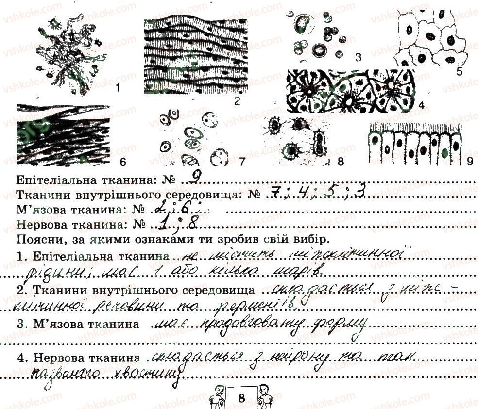 фото задание 8 - сторінки 6-20
