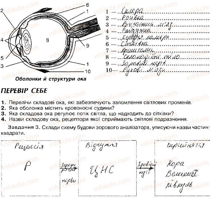 фото задание 76 - сторінки 75-98