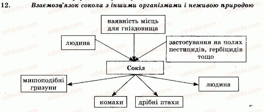 фото задание 12 - готуємося до тематичного оцінювання - тема 9. птахи - розділ vii. різноманітність тварин