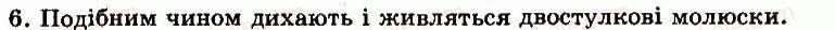 фото задание 6 - § 31. ланцетник — представник підтипу безчерепні - глава 7. тип хордові. безчерепні. риби