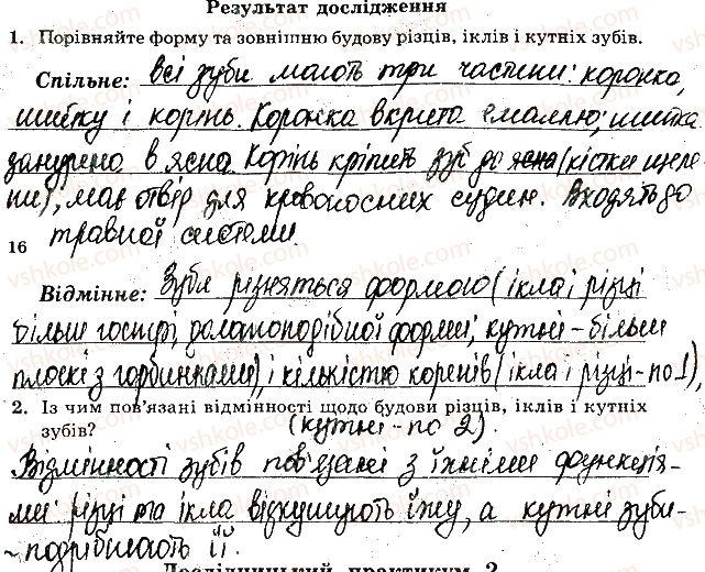 фото задание лр2 - лабораторні дослідження