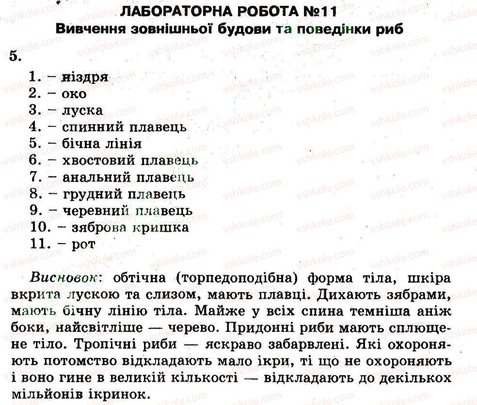 фото задание лр11 - лабораторні роботи
