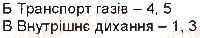 фото задание 11 - самоконтроль знань - тема 3. дихання