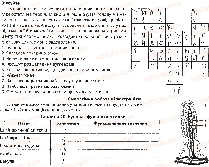 фото задание сторінка28 - тема 2. травлення