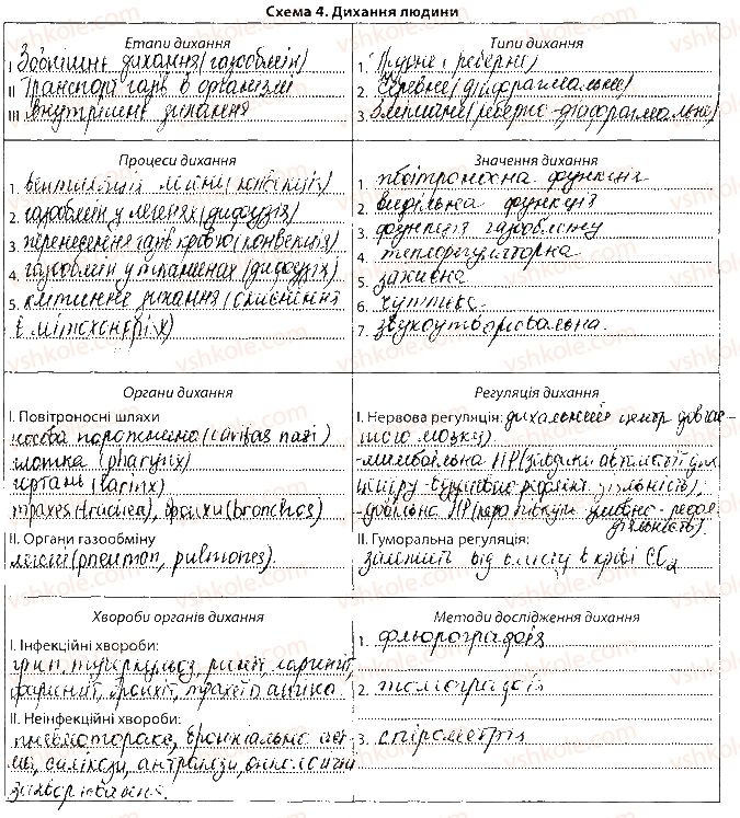 фото задание сторінка38 - тема 3. дихання