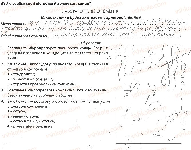 фото задание сторінка61 - тема 6. опора та рух