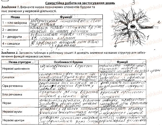 фото задание сторінка77 - тема 7. зв’язок організму людини із зовнішнім середовищем. нервова система