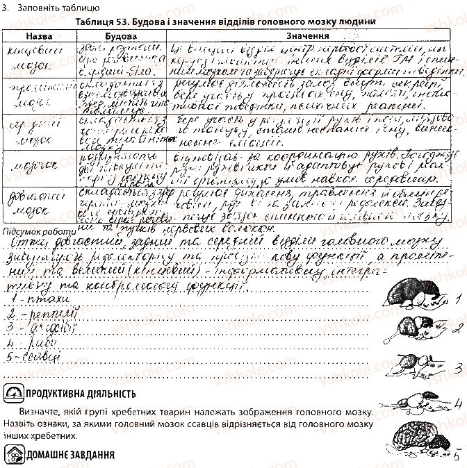 фото задание сторінка81 - тема 7. зв’язок організму людини із зовнішнім середовищем. нервова система