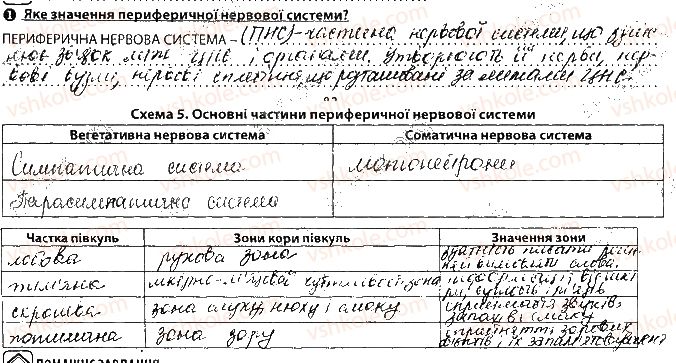 фото задание сторінка83 - тема 7. зв’язок організму людини із зовнішнім середовищем. нервова система