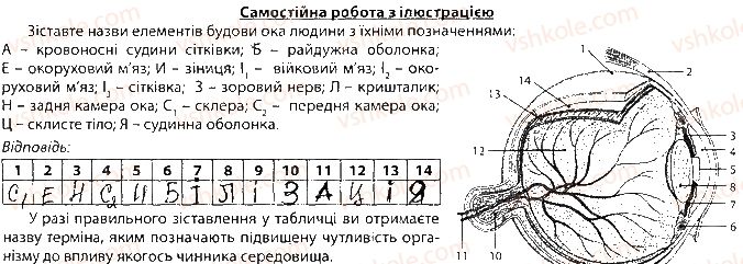 фото задание сторінка91 - тема 8. зв’язок організму людини із зовнішнім середовищем. сенсорні системи
