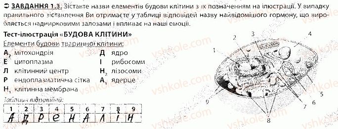 фото задание 3 - блок 1 - поурочне оцінювання