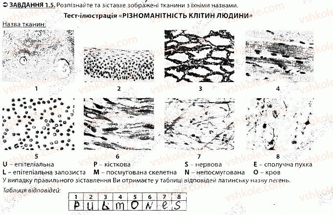 фото задание 5 - блок 1 - поурочне оцінювання