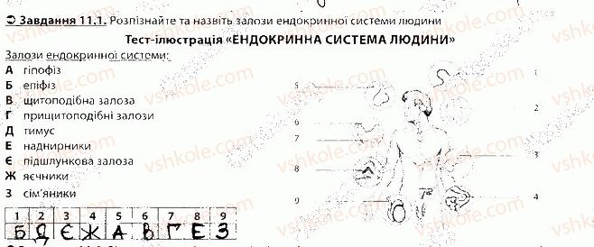 фото задание 1 - блок 11 - поурочне оцінювання