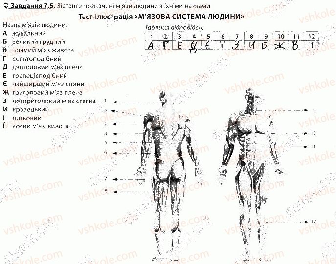 фото задание 5 - блок 7 - поурочне оцінювання