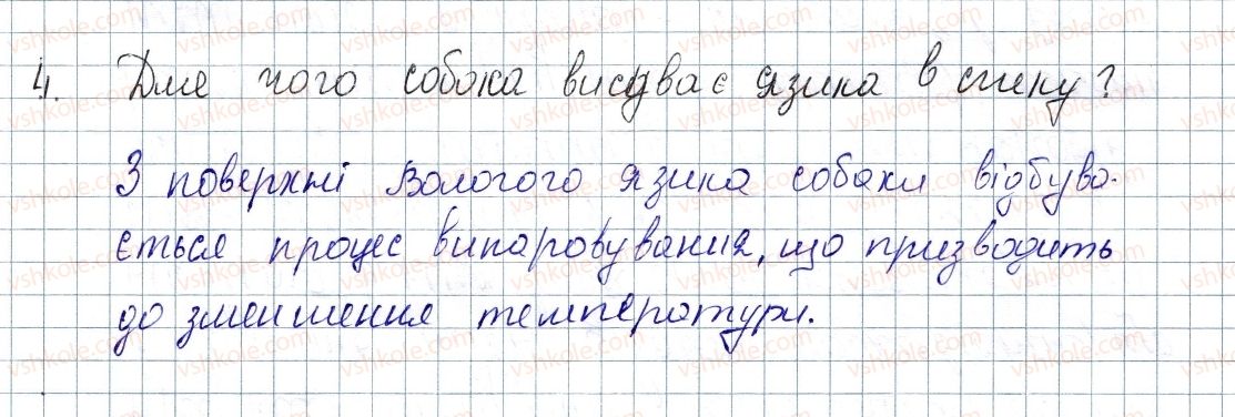 фото задание 4 - № 13 - вправи