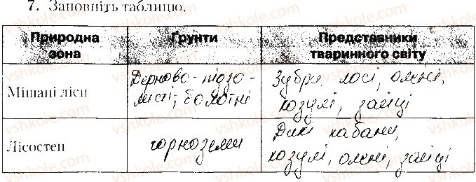 фото задание 7 - варіант 1 - тематичне оцінювання № 4 - вкладиш. зошит. тестові завдання