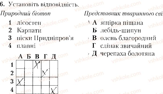 фото задание 6 - варіант 2 - тематичне оцінювання № 4 - вкладиш. зошит. тестові завдання