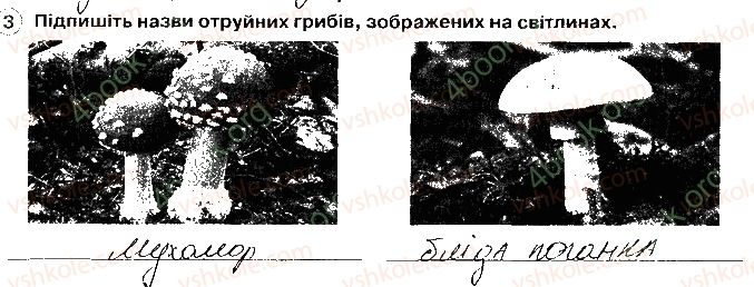 фото задание 3 - симптоми харчового отруєння. отруйні рослини і гриби - фізична складова здоров’я